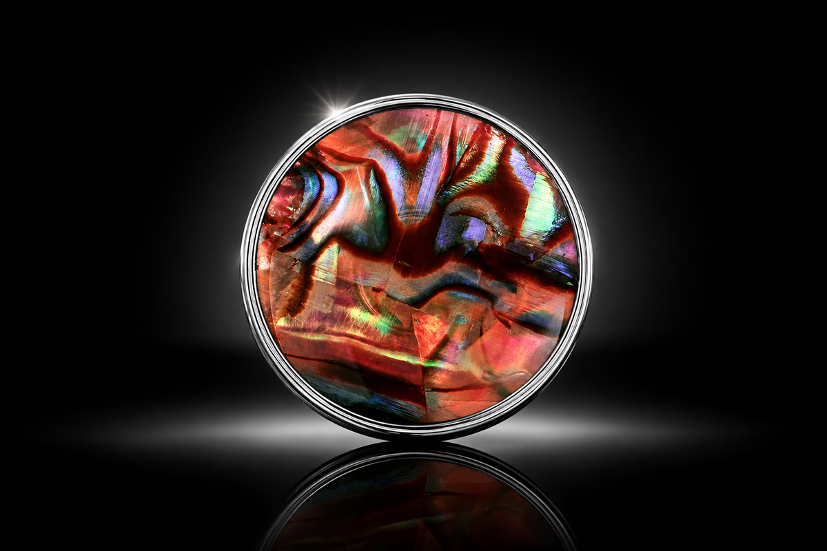 SWTL Interchangeable 15mm Mini Coin & Golden Shell & Bronze Abalone